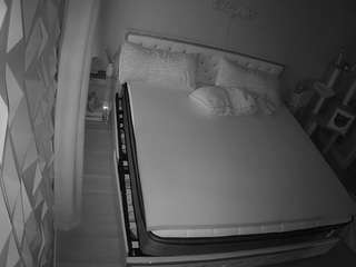 voyeurcam-whitneyoc-01